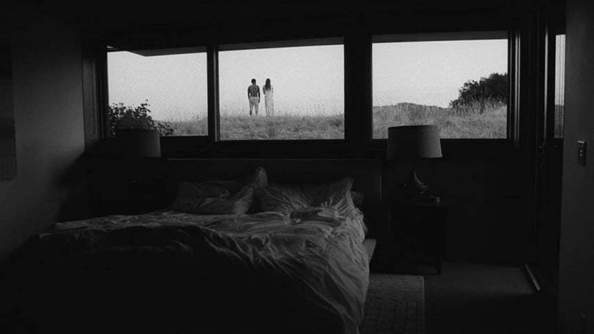 تریلر فیلم Malcolm & Marie