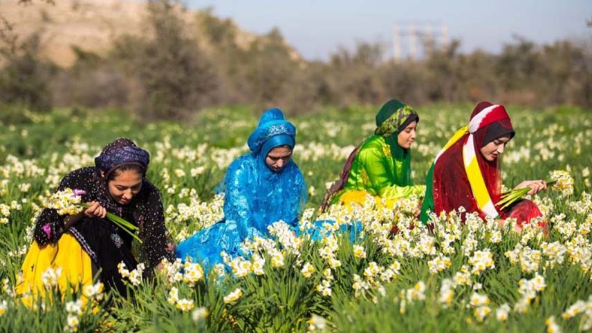 شهرهای گل ایران بهبهان