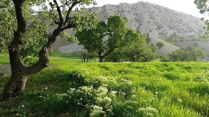 آبدانان
