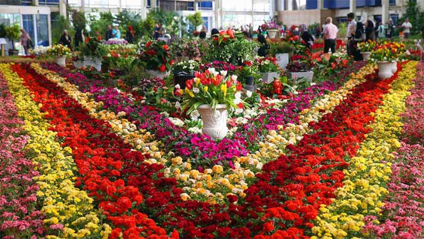 محلات شهرهای گل ایران
