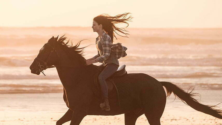 تریلر فیلم زیبای مشکی / تریلر فیلم Black Beauty