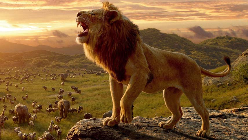 لایو اکشن the lion king