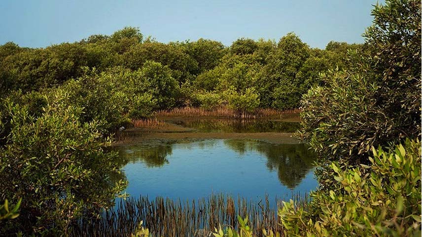 راهنمای سفر به هرمز