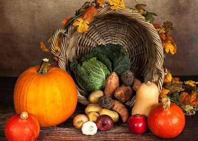 رژیم غذایی طبیعی