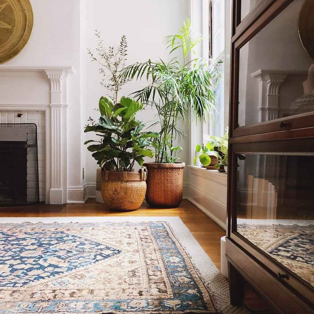 از بین بردن لکه بستنی از فرش