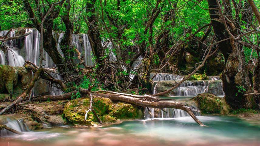 زیباترین جنگل های غرب ایران