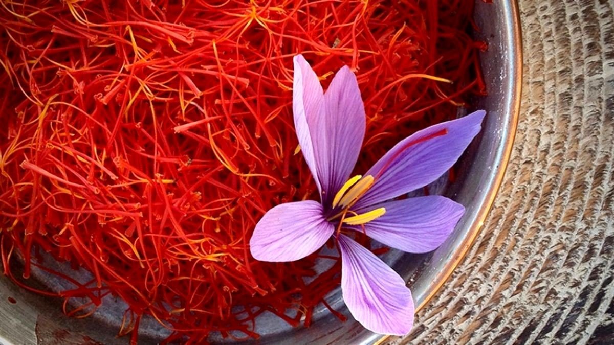 زعفران سرگل