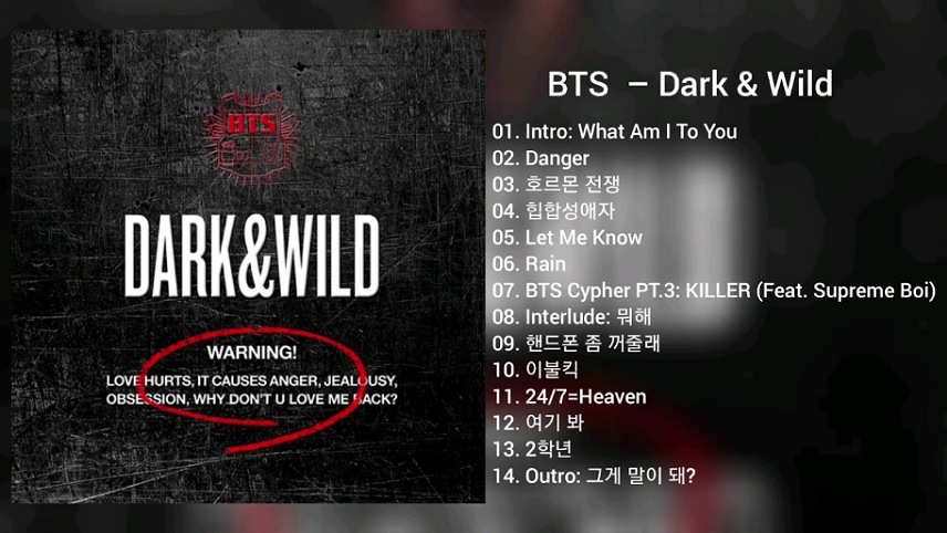 فهرست تمام اهنگ های بی تی اس به صورت یکجا - آلبوم Dark & Wild