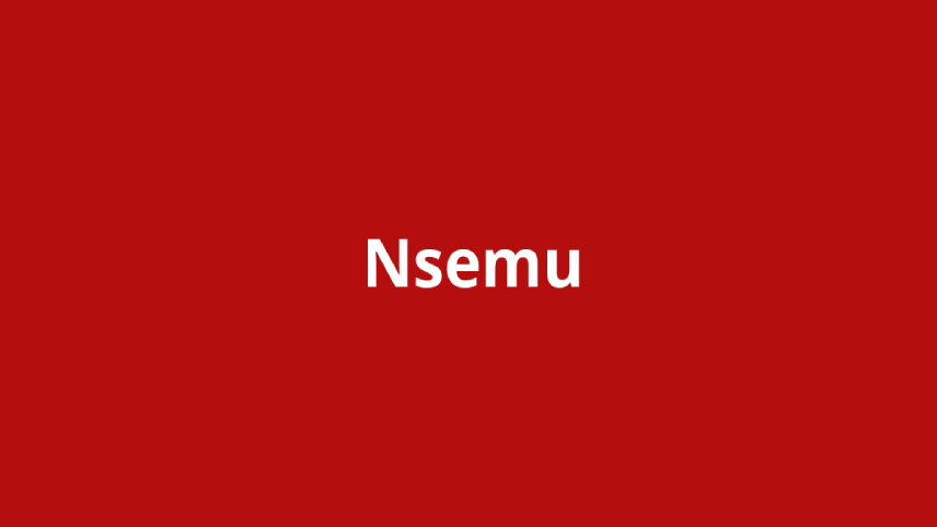اجرای نینتندو سوییچ در اندروید - برنامه NS