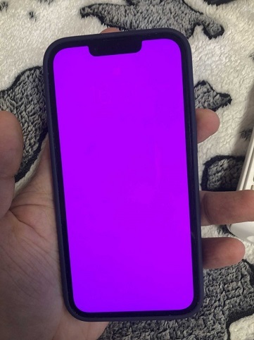 باگ صورتی شدن نمایشگر iphone 13 / صفحه صورتی ایفون ۱۳