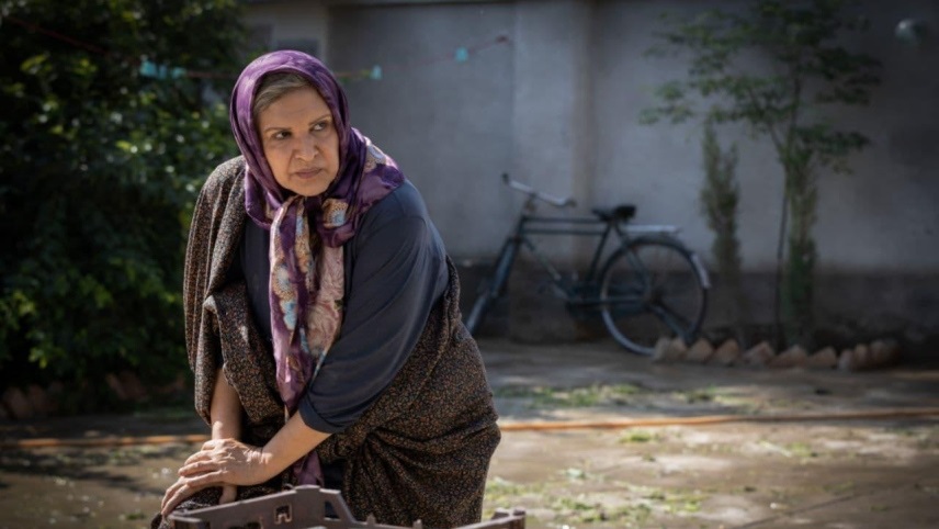 خلاصه فیلم سینمایی شادروان / خلاصه فیلم شادروان