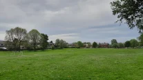 Gallery image 11