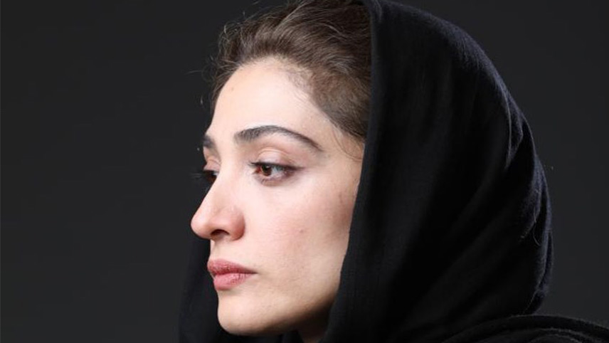 موضوع فیلم آمستردام ایرانی