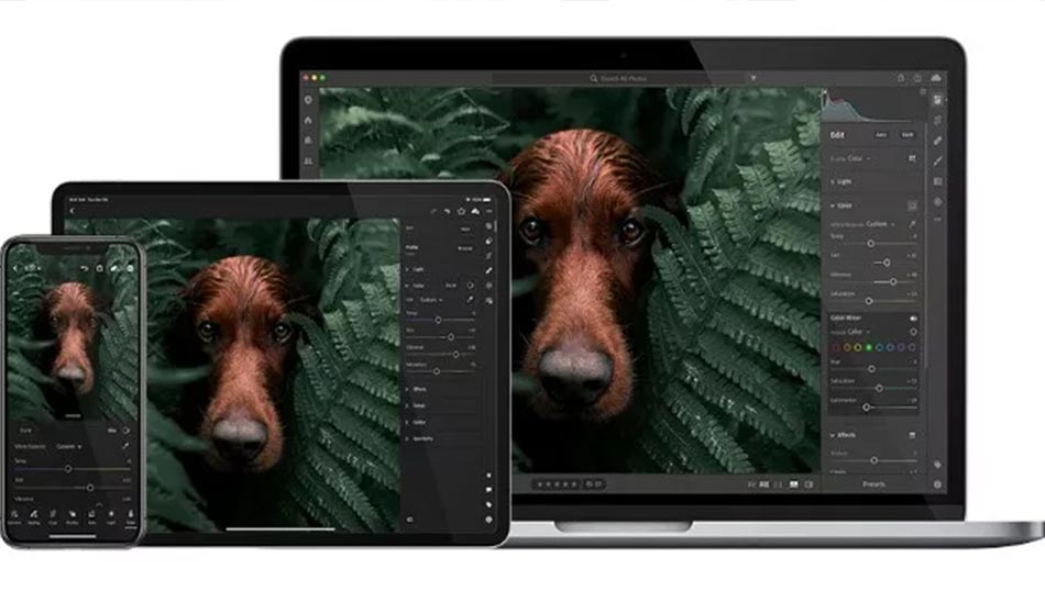 7- نرم افزار Adobe Lightroom نرم افزار سازماندهی و ویرایش تصاویر
