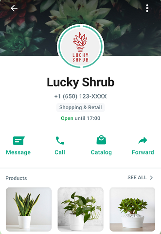 بیزینس اکانت واتس اپ