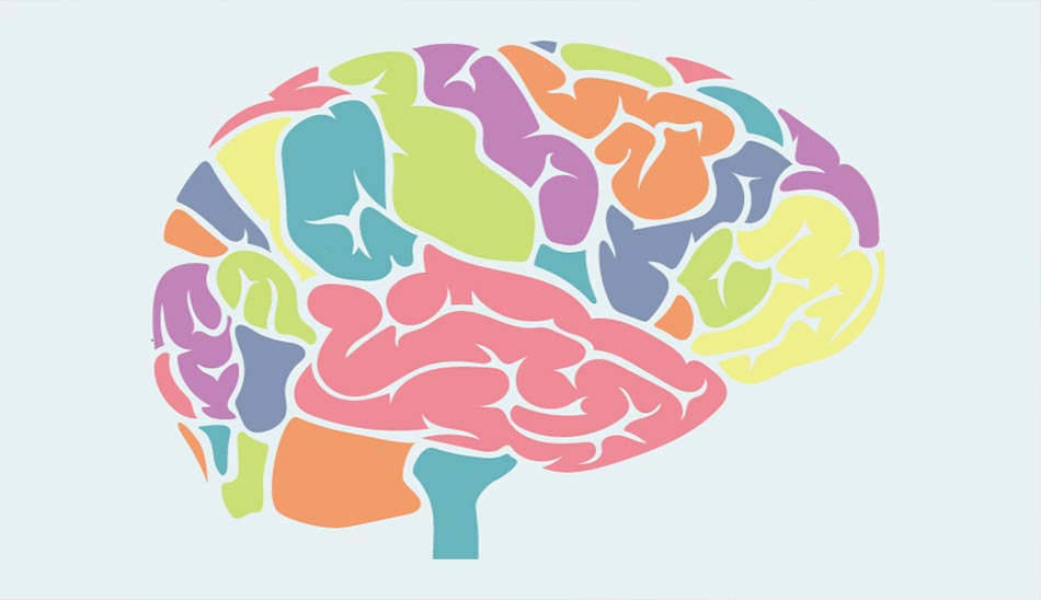 25. Brain Kids بهترین بازی فکری اندروید