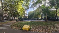Gallery image 12