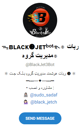 ربات همه کاره گروه رایگان