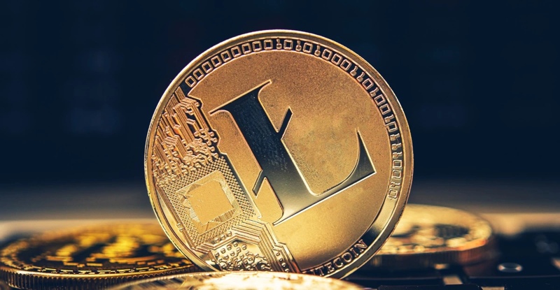 تاریخ و زمان هاوینگ لایت کوین چیست؟