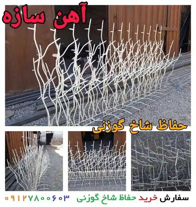 حفاظ شاخ گوزنی