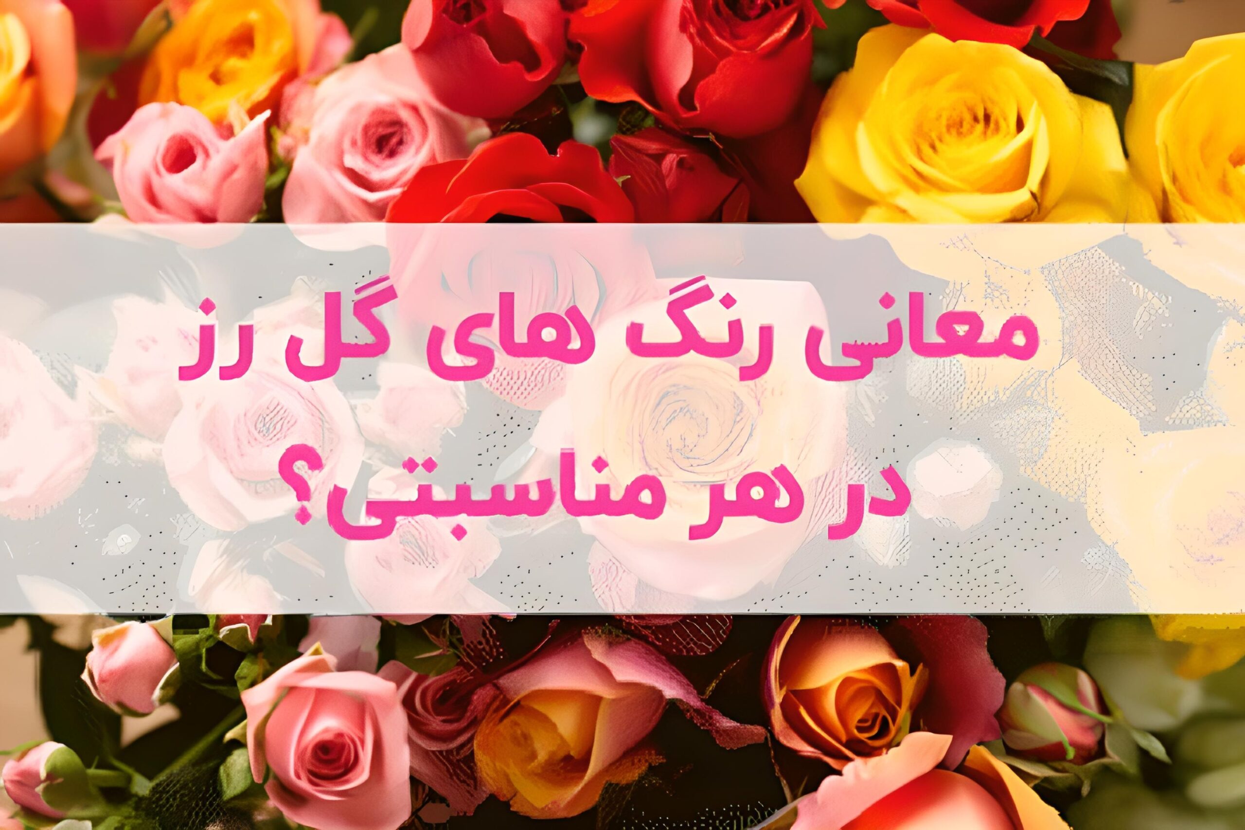 معانی رنگ های گل رز در هر مناسبتی چیست؟