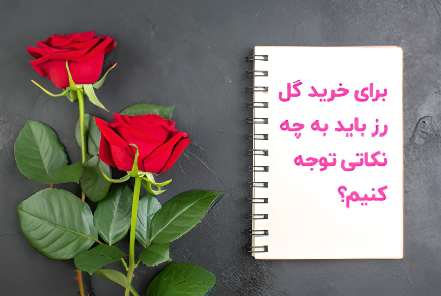 نکات خرید گل رز
