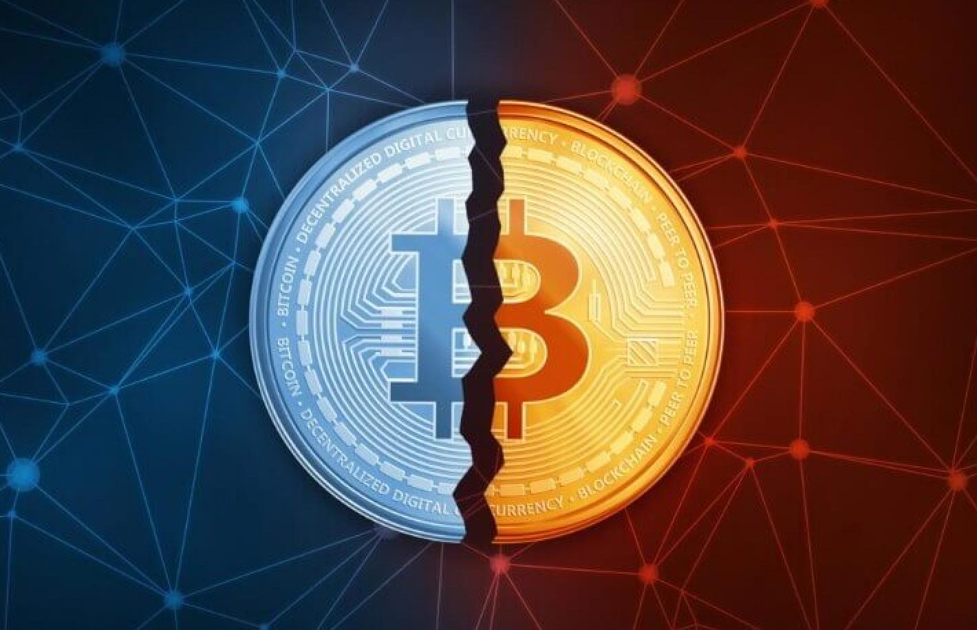 halving