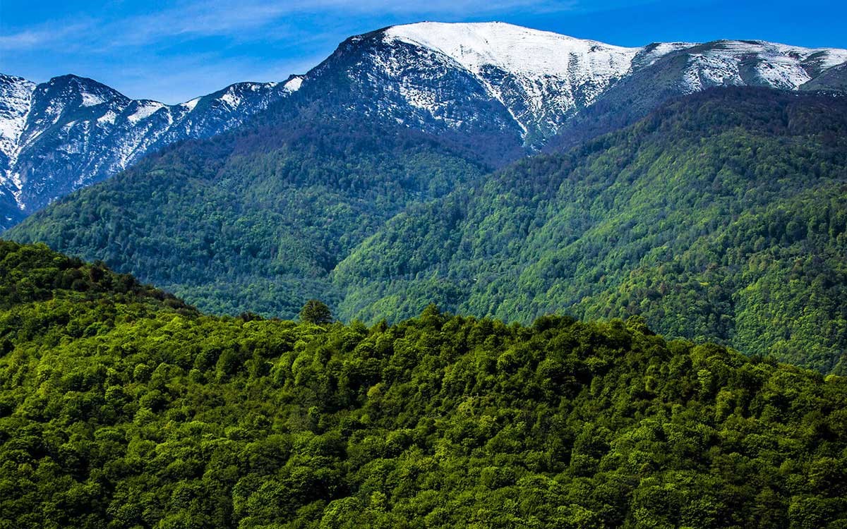 بهشت هیرکان گرگان