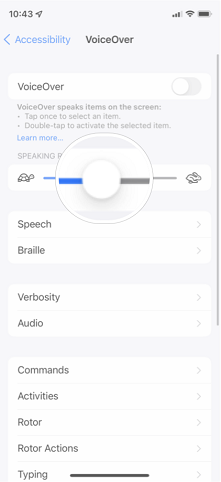 Voice over چیست