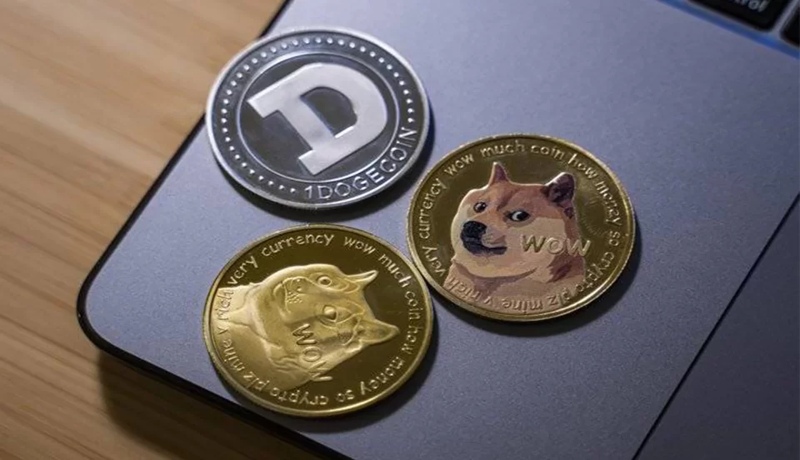 The best shitcoins for investment