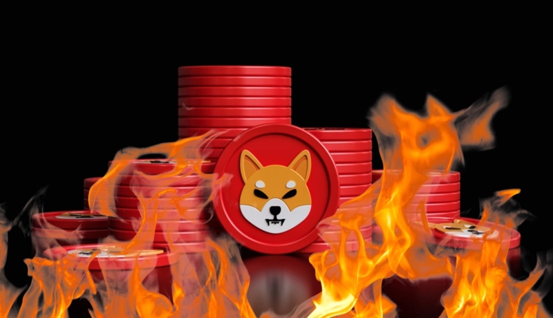shiba burning token
