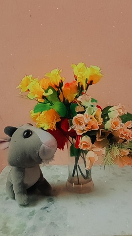 نحوه ساخت ریلز در اینستاگرام
