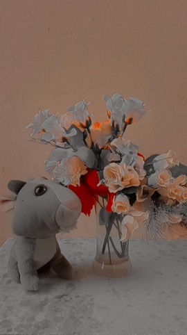 ریلز اینستاگرام چیست