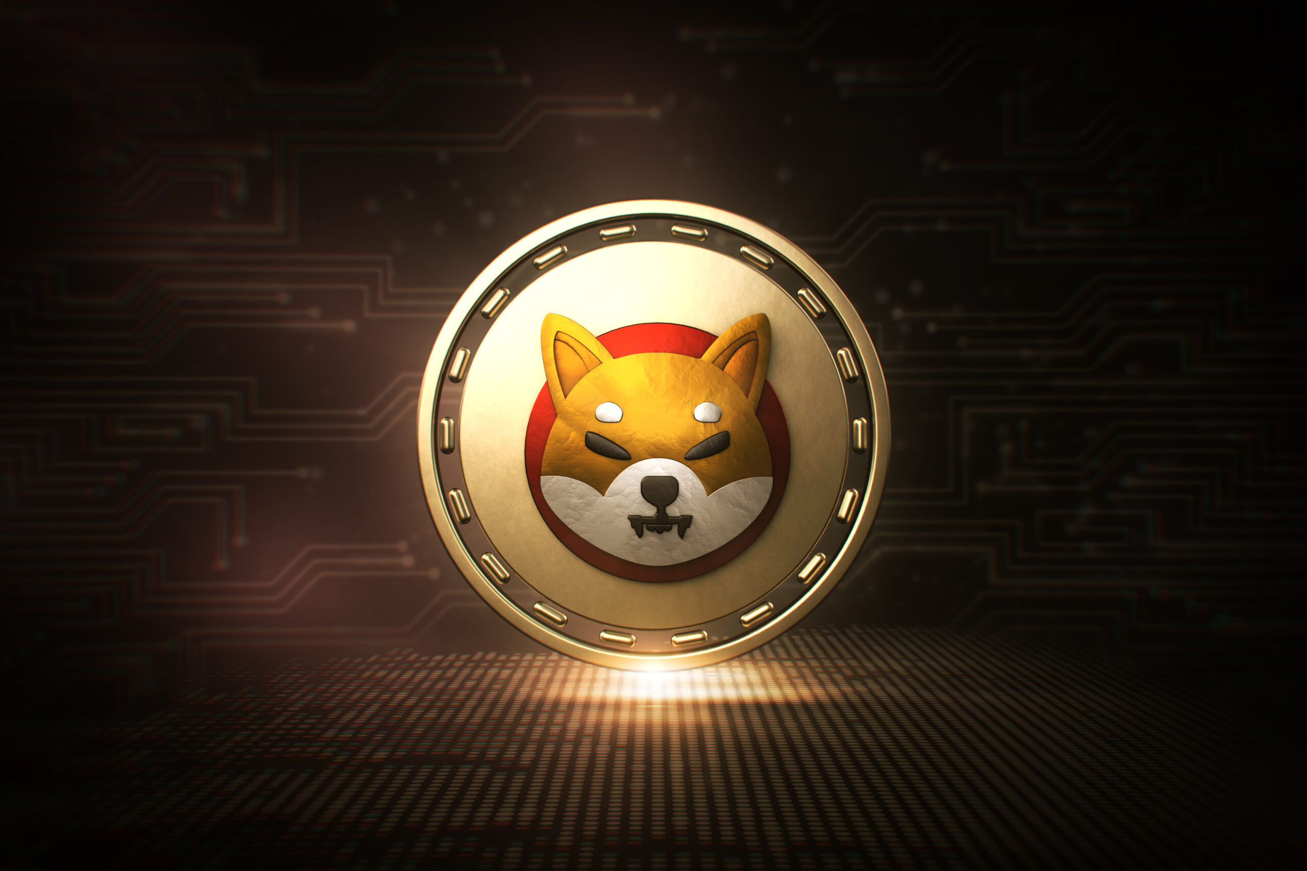 Shiba inu