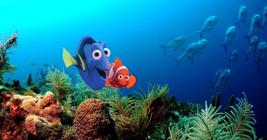 انیمیشن Finding Nemo 2003