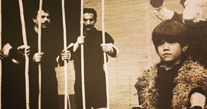 زندگی شغلی ستاره پسیانی