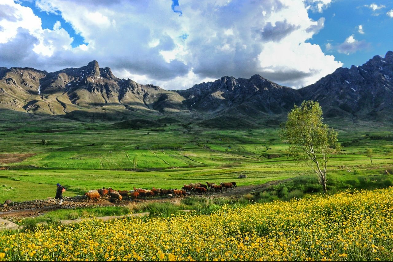راهنمای سفر به کردستان