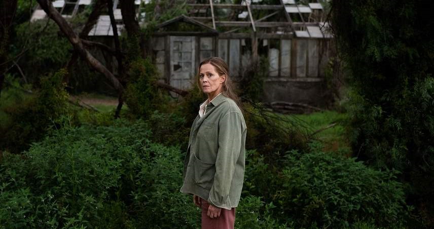 معرفی سریال The Lost Flowers of Alice Hart 2023