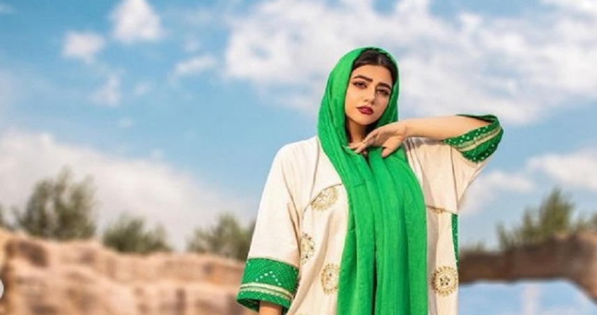 زندگی شغلی سرنا امینی
