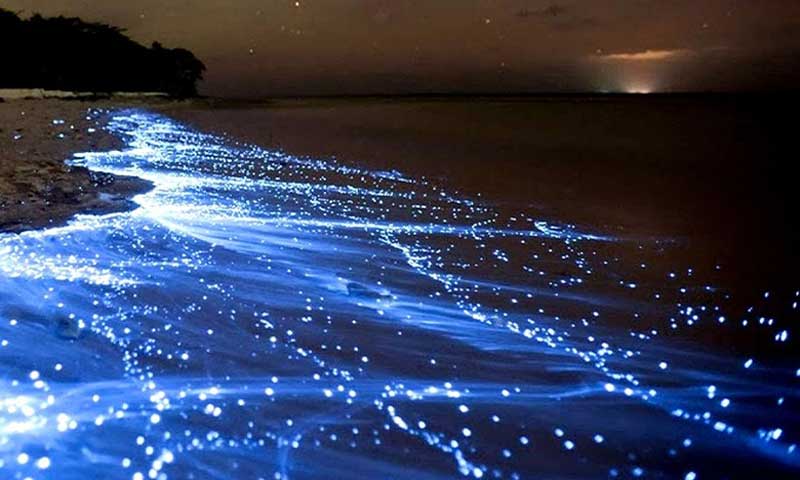 ساحل نقره ای