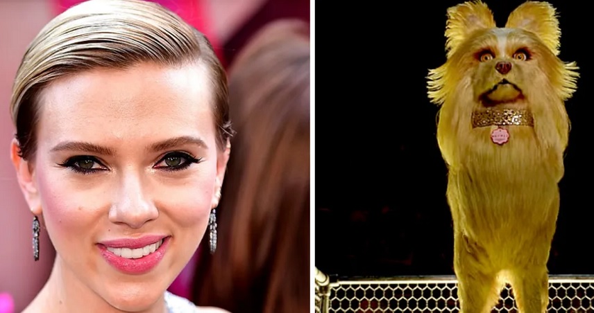 نقد انیمیشن Isle of Dogs