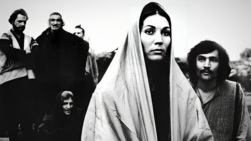 زندگی شغلی پروانه معصومی