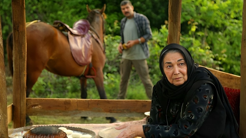 سریال های پروانه معصومی