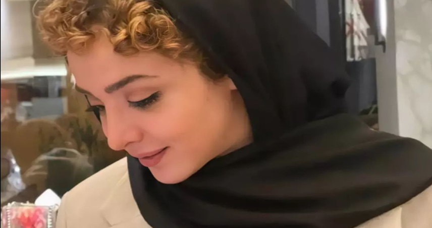 زندگی شغلی المیرا دهقانی