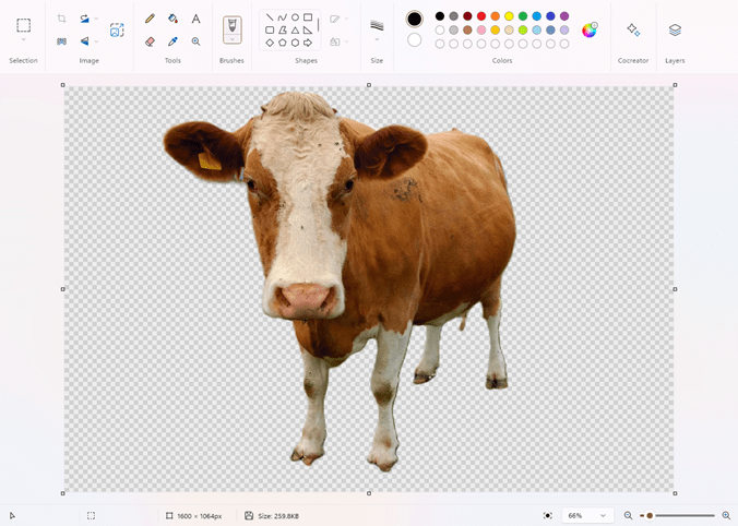 حذف پس زمینه عکس در Paint