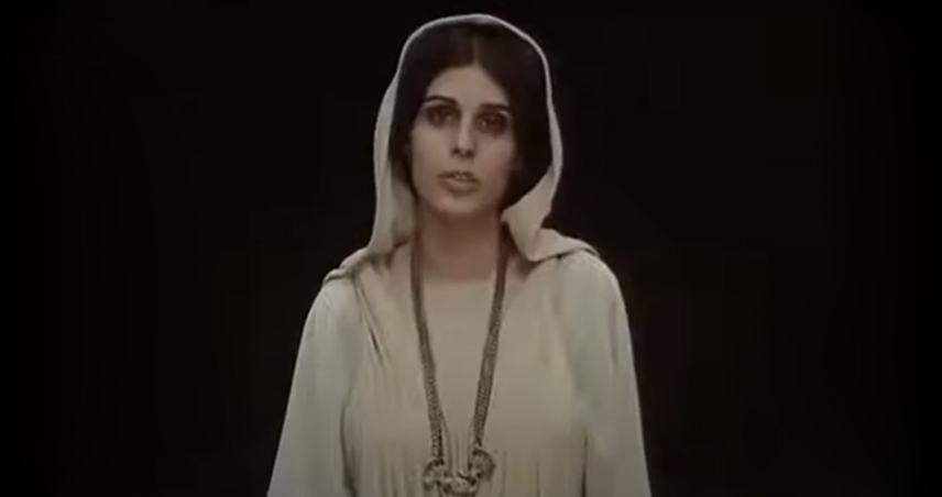 زندگی شغلی آهو خردمند