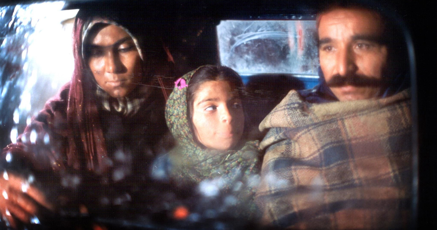 زندگی شغلی مهشید افشارزاده
