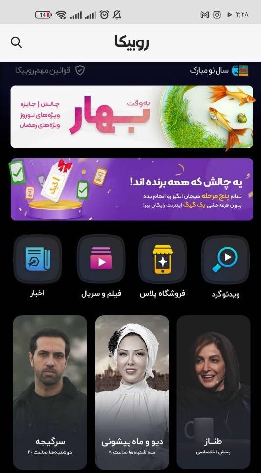 تیک آبی روبیکا
