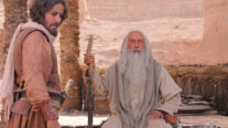 Gallery image 13