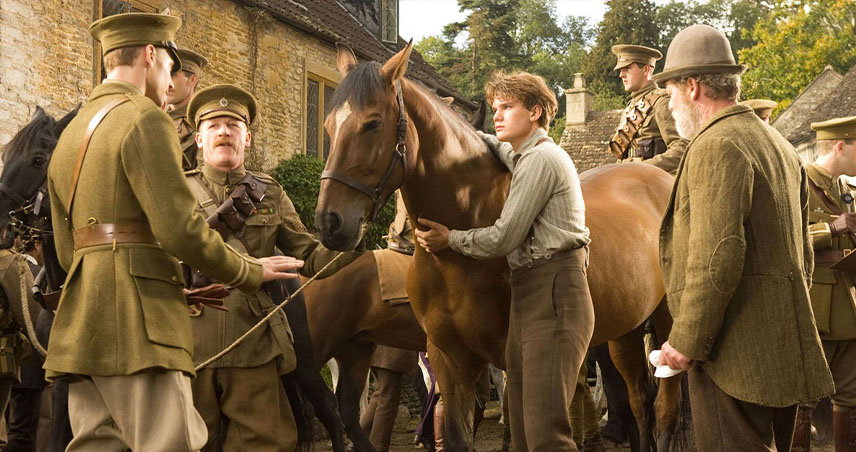 بررسی فیلم War Horse 2011 معرفی فیلم سینمایی اسب جنگی